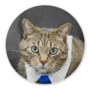 Pomo De Cerámica Gato de tabby marrón de ojos verdes lindo que