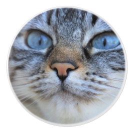 Pomo De Cerámica Gato gris