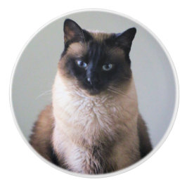 Pomo De Cerámica gato siamés