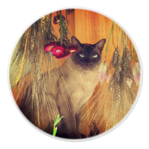 Pomo De Cerámica Gato Siamés Posando Con Flores