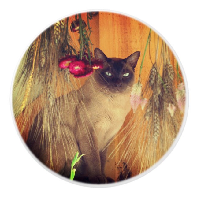 Pomo De Cerámica Gato Siamés Posando Con Flores (Anverso)