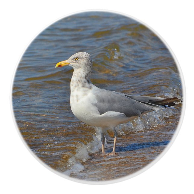 Pomo De Cerámica Gaviota cerámica (Anverso)