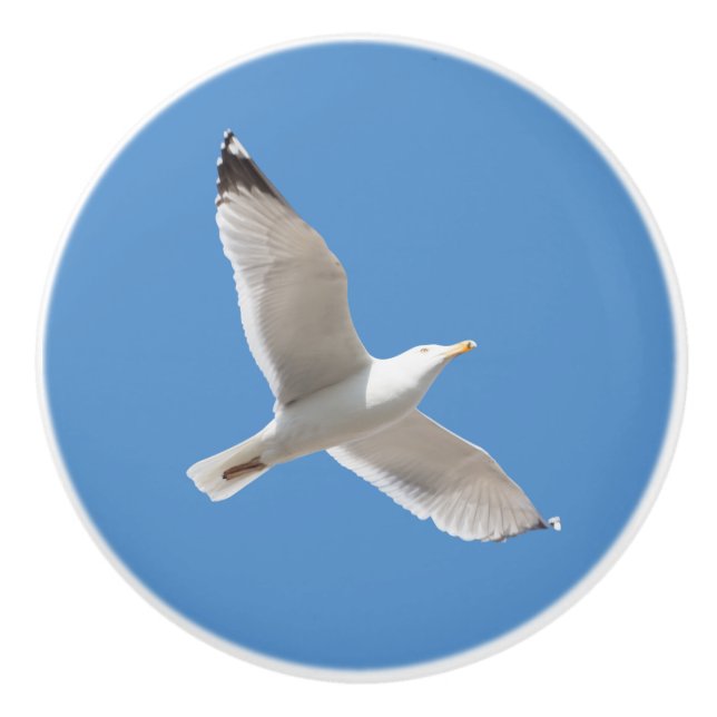 Pomo De Cerámica Gaviota voladora (Anverso)