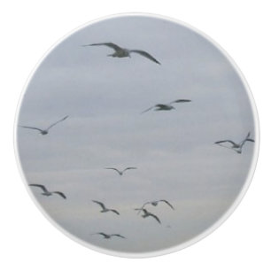 Pomo De Cerámica Gaviotas