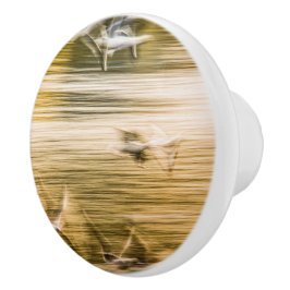 Pomo De Cerámica Gaviotas voladoras - abstractas