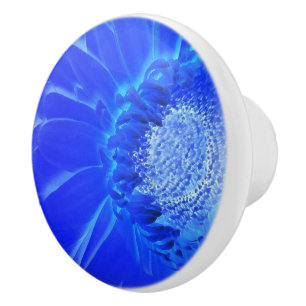 Pomo De Cerámica gerbera azul eléctrico
