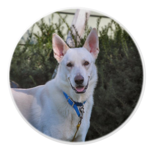 Pomo De Cerámica Ghost (Anverso)