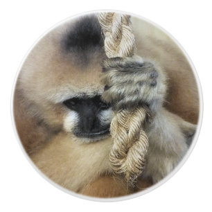 POMO DE CERÁMICA GIBBON MONKEY