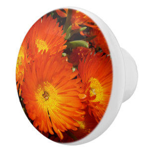 Pomo De Cerámica Gigante Naranja Daisies,