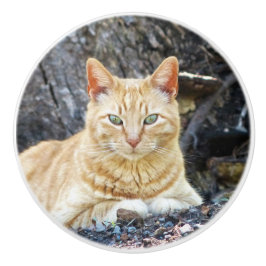 Pomo De Cerámica Ginger Boy