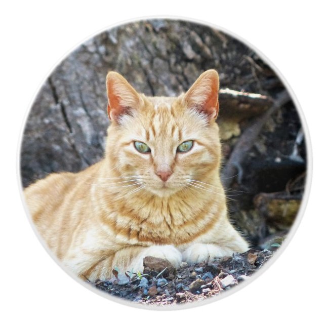 Pomo De Cerámica Ginger Boy (Anverso)