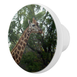 Pomo De Cerámica Giraffe Camina Con La Naturaleza,