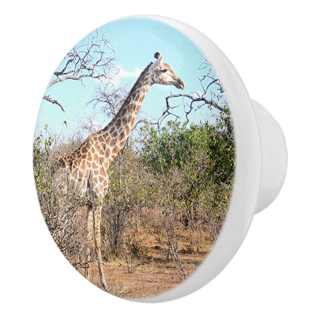 POMO DE CERÁMICA GIRAFFE EN HÁBITAT NATURAL (BOTSWANA) (Derecha)
