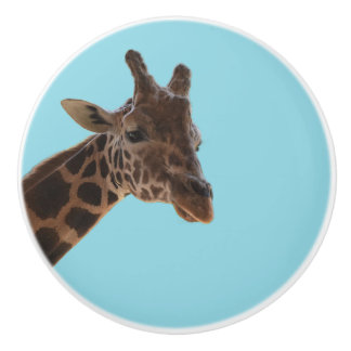 Pomo De Cerámica Giraffe pull knob