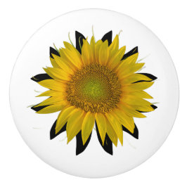 Pomo De Cerámica Girasol