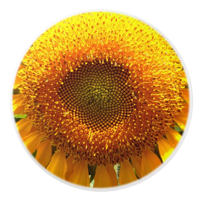 Pomo De Cerámica Girasol amarillo gigante (Anverso)