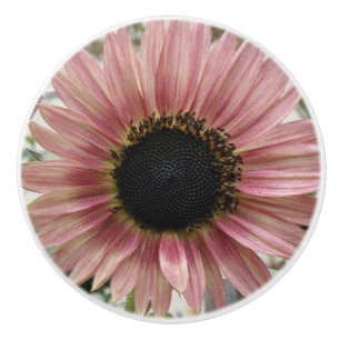 Pomo De Cerámica Girasol rosa pálido