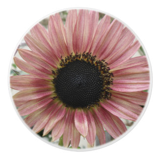 Pomo De Cerámica Girasol rosa pálido