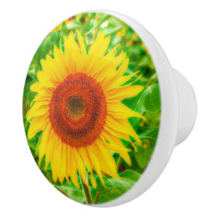 Pomo De Cerámica Girasoles felices gigantes amarillos brillantes