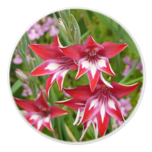 Pomo De Cerámica Gladiolos Rojos y Blancos Verano Botánico