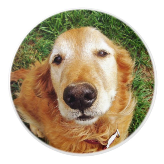 Pomo De Cerámica Golden Retriever (Anverso)