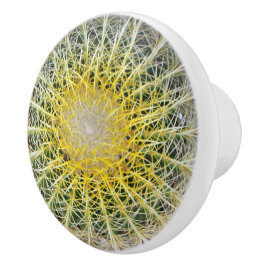 Pomo De Cerámica Gracioso Cactus Árid Incómodo
