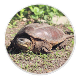 Pomo De Cerámica Gran chico