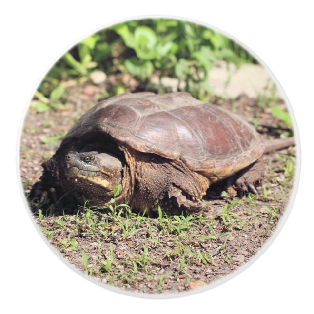 Pomo De Cerámica Gran chico (Anverso)