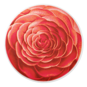 Pomo De Cerámica Gran Florencia Camellia, Naranja Coral