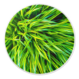 Pomo De Cerámica Grasa