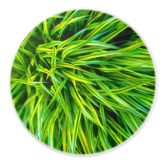 Pomo De Cerámica Grasa (Anverso)