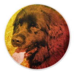 Pomo De Cerámica Grunge abstracto de perro negro de Terranova