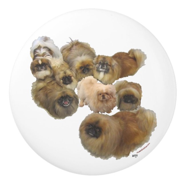 Pomo De Cerámica Grupo de perros pekingeses (Anverso)