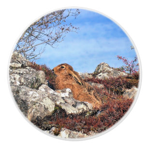 POMO DE CERÁMICA HARE