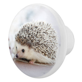 Pomo De Cerámica Hedgehog Baby