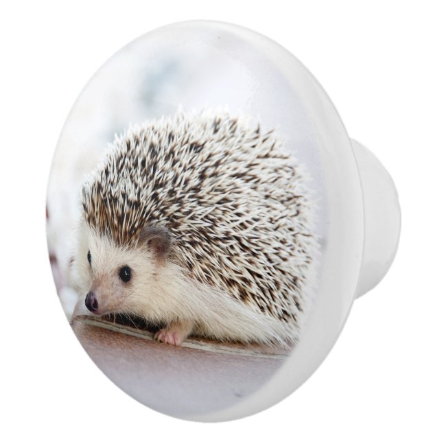 Pomo De Cerámica Hedgehog Baby (Derecha)