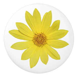 Pomo De Cerámica Helianthus 'Lemon Queen' Sunflower (aislado)