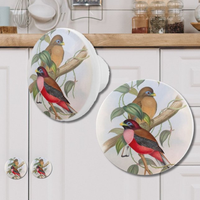 Pomo De Cerámica Hermosa casa de campo moderna con aves de época (Add vintage charm and style to your kitchen, bedroom or bathroom with these beautiful bird knobs!)