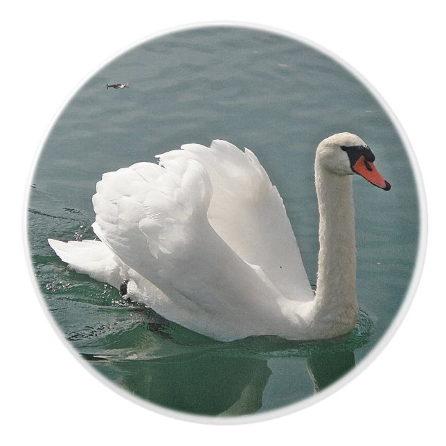 Pomo De Cerámica Hermoso cisne blanco (Anverso)