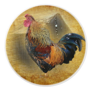 Pomo De Cerámica Hermoso gallo y rústico gallinero