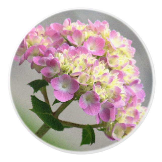 POMO DE CERÁMICA HIDRANGEA ROSA Y AMARILLA/CONOCIMIENTO CERAMICO DE (Anverso)