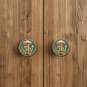 Pomo De Cerámica Hisopos acuarelas Rocas Fermones