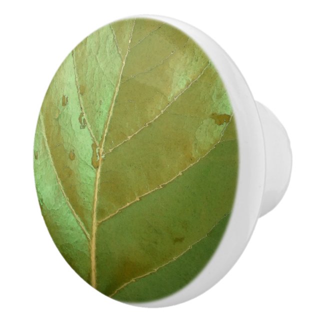 Pomo De Cerámica Hoja de Uva de Mar de Cerca (Derecha)