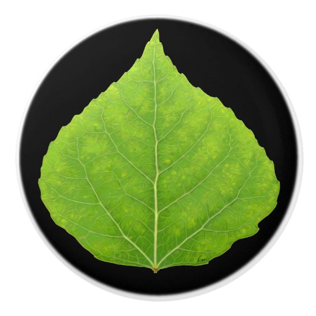 Pomo De Cerámica Hoja verde de lápiz #11 (Anverso)