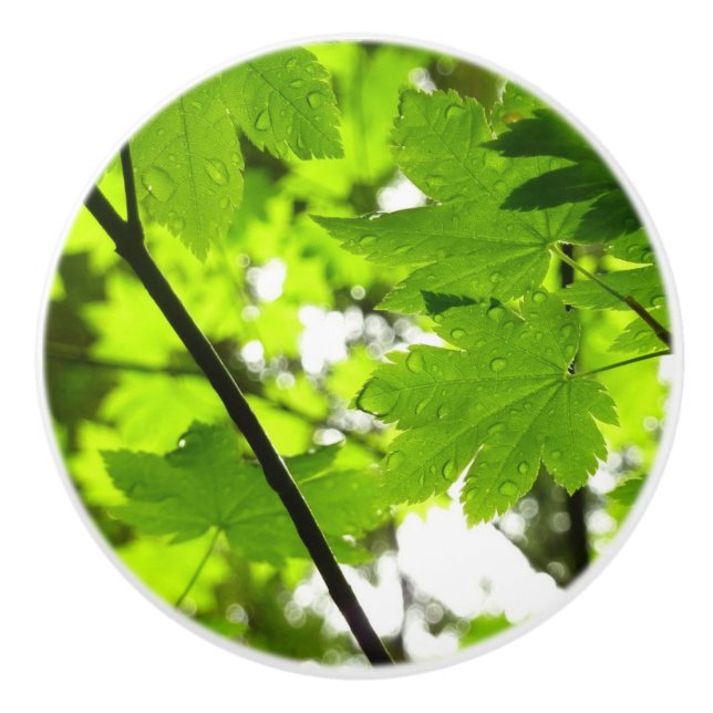Pomo De Cerámica Hojas de arce con gotas de lluvia (Anverso)