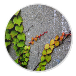 Pomo De Cerámica Hojas de color de caída