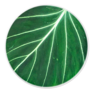 Pomo De Cerámica Hojas de palma, follaje tropical, selva