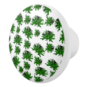 Pomo De Cerámica Hojas verdes de Dracaena Fern,