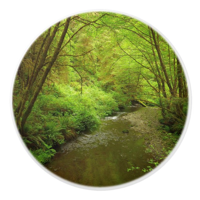 Pomo De Cerámica Hombre perdido en el parque nacional Redwood (Anverso)