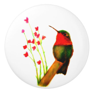 Pomo De Cerámica Hummingbird